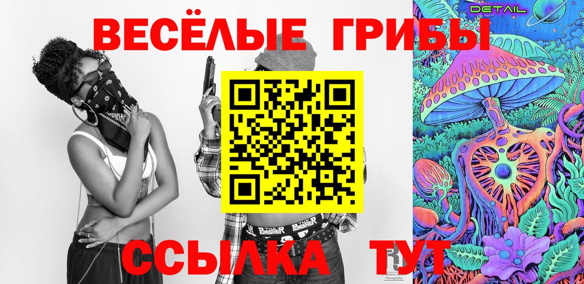 Псилоцибиновые грибы прущие грибы  наркошоп  Элиста  Вход с VPN  Псилоцибиновые грибы прущие грибы 