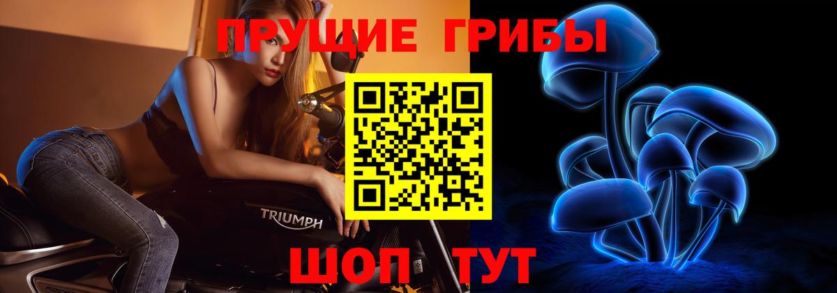 Галлюциногенные грибы MAGIC MUSHROOMS Элиста